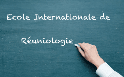 Quand Perfony rencontre Louis VAREILLE, Réuniologue