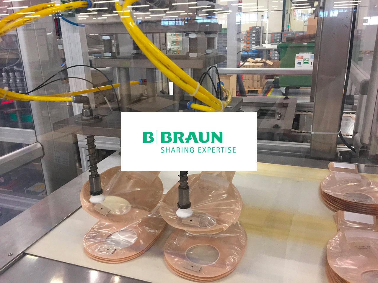 B Braun Saint Jean De Luz Recrutement