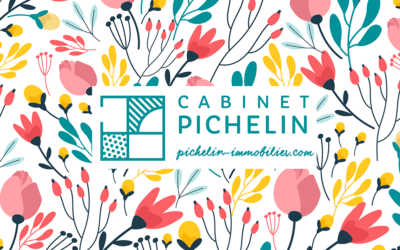 Connaissez-vous le Cabinet Pichelin ?