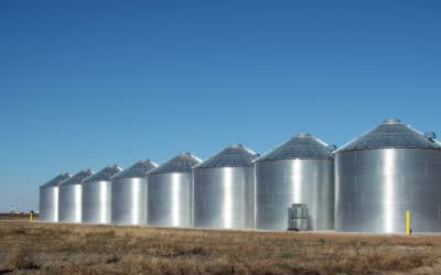 Développer de nouvelles formes de transversalité.