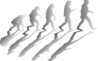 « La conjecture de Judith » ou comment Darwin peut aussi expliquer la vie d’une start-up