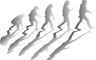 « La conjecture de Judith » ou comment Darwin peut aussi expliquer la vie d’une start-up