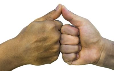 L’approche systémique du management