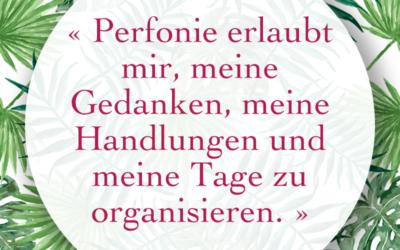 Stimme des Benutzers: Sébastien MAYANCE