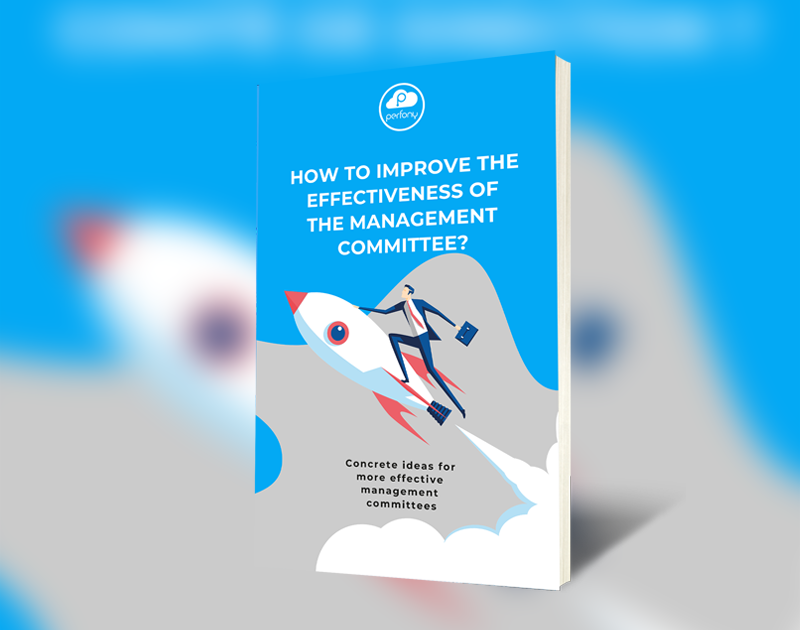 How to improve the efficiency of the Management Committee?