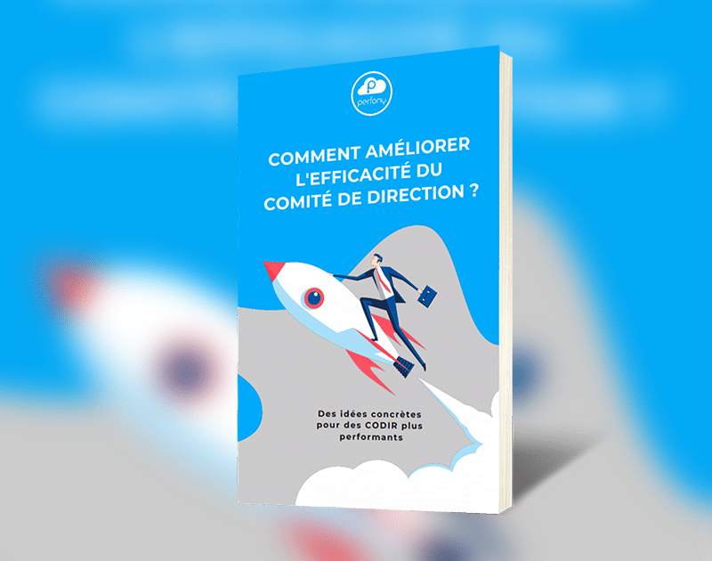 Comment améliorer l’efficacité du Comité de Direction ?